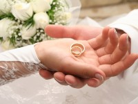 Sed blandit massa vel