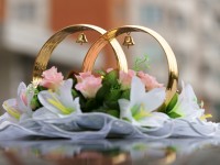 Suspendisse arcu nisl